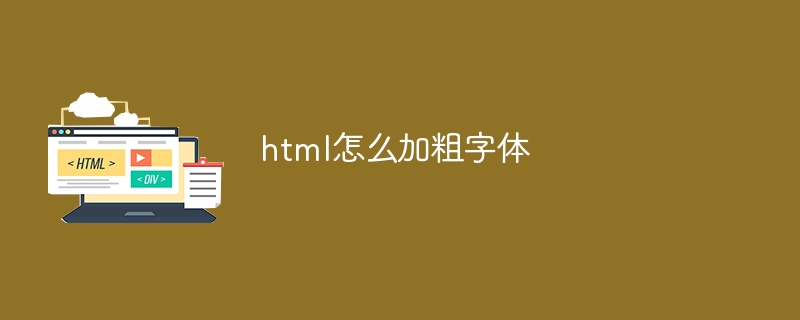 html怎么加粗字体