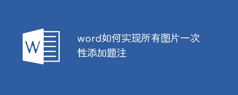 word如何实现所有图片一次性添加题注