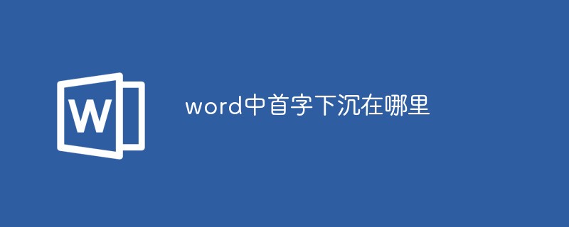 word中首字下沉在哪里