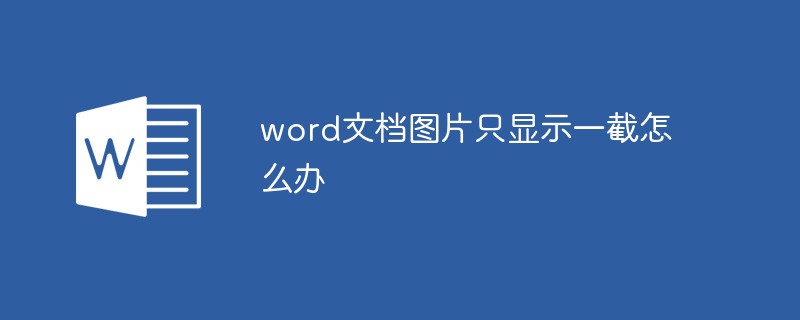 word文档图片只显示一截怎么办