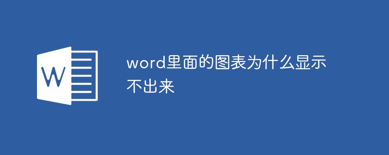 word里面的图表为什么显示不出来