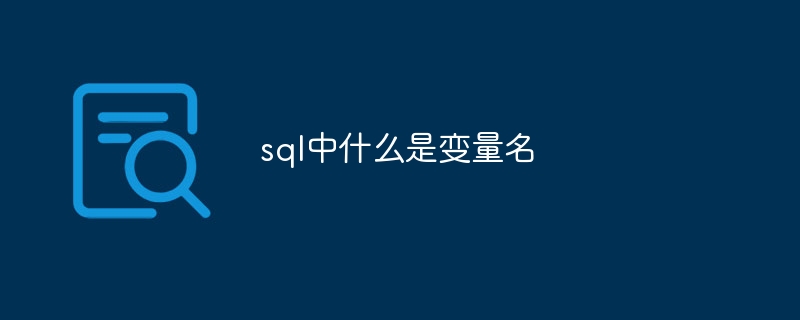 sql中什么是变量名