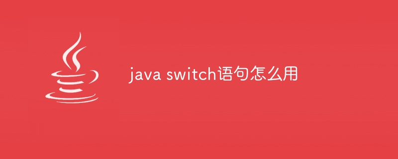 java switch语句怎么用