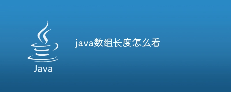 java数组长度怎么看