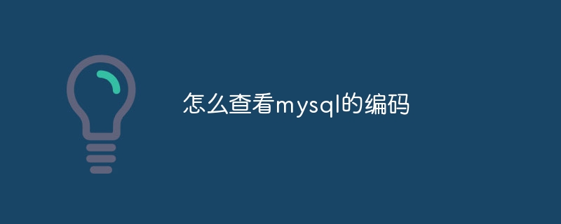 怎么查看mysql的编码