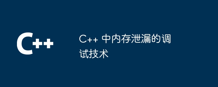 C++ 中内存泄漏的调试技术