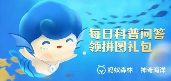 神奇海洋今日答案8.28：在贝类生物中，因体型巨大有“贝王”之称的是