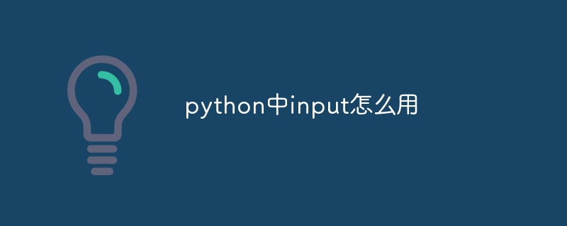 python中input怎么用