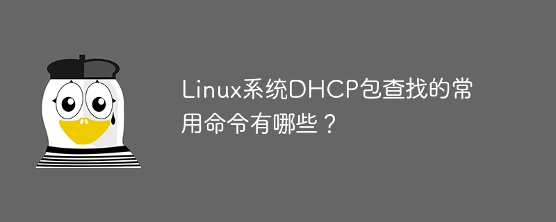 Linux系统DHCP包查找的常用命令有哪些？