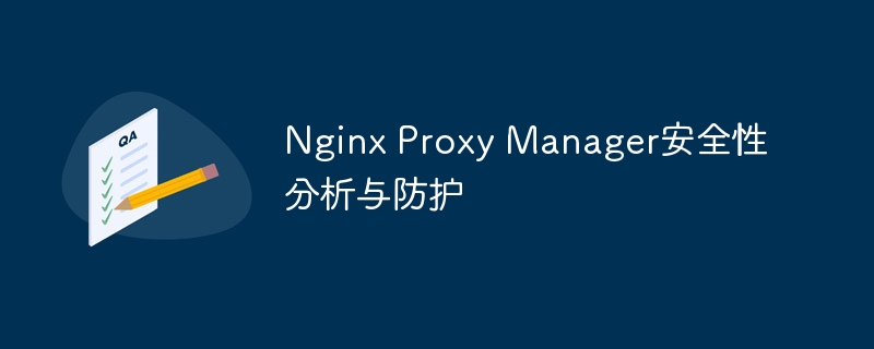 Nginx Proxy Manager安全性分析与防护