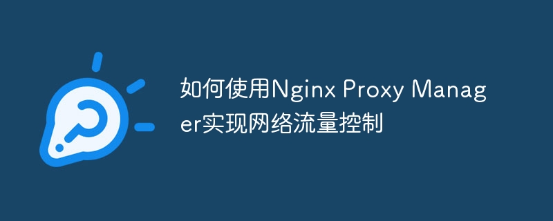 如何使用Nginx Proxy Manager实现网络流量控制