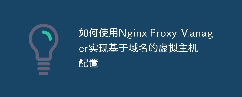 如何使用Nginx Proxy Manager实现基于域名的虚拟主机配置