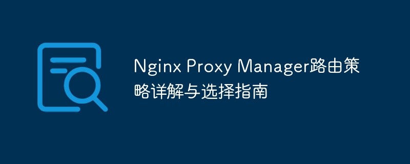 Nginx Proxy Manager路由策略详解与选择指南