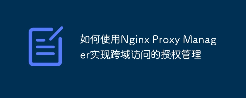 如何使用Nginx Proxy Manager实现跨域访问的授权管理