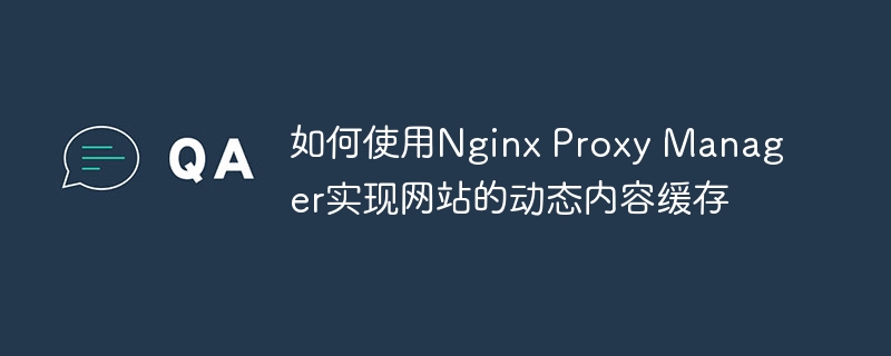 如何使用nginx proxy manager实现网站的动态内容缓存