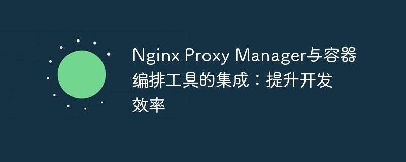 Nginx Proxy Manager与容器编排工具的集成：提升开发效率