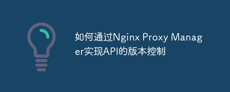 如何通过Nginx Proxy Manager实现API的版本控制