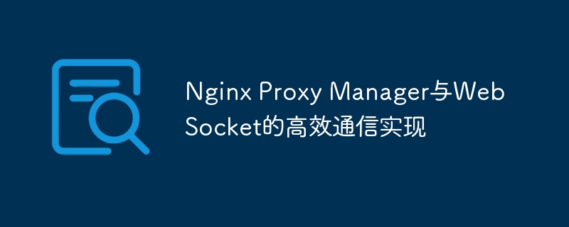 Nginx Proxy Manager与WebSocket的高效通信实现