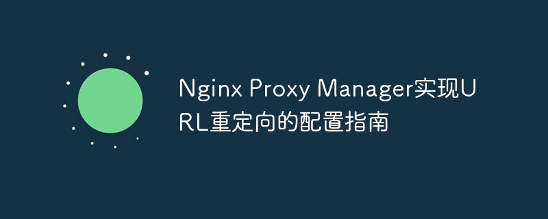 Nginx Proxy Manager实现URL重定向的配置指南