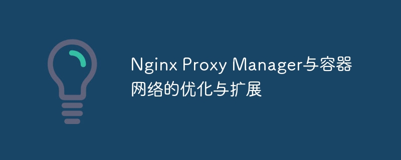 nginx proxy manager与容器网络的优化与扩展