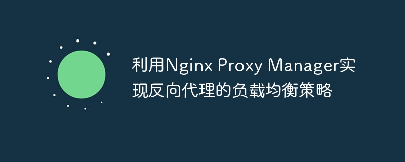 利用Nginx Proxy Manager实现反向代理的负载均衡策略