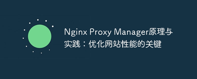 nginx proxy manager原理与实践：优化网站性能的关键