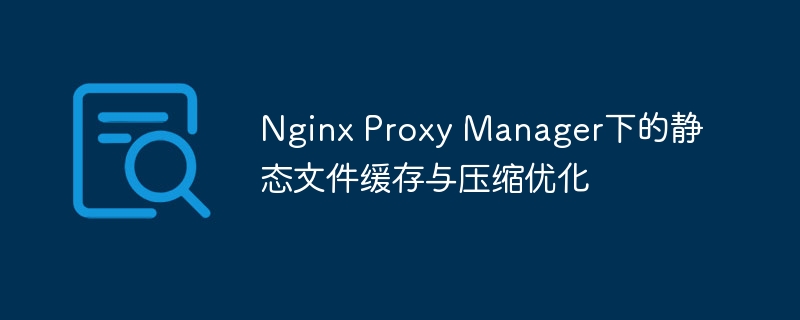 Nginx Proxy Manager下的静态文件缓存与压缩优化