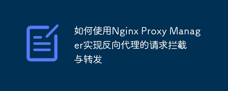 如何使用Nginx Proxy Manager实现反向代理的请求拦截与转发