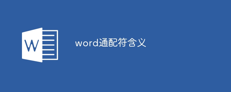 word通配符含义