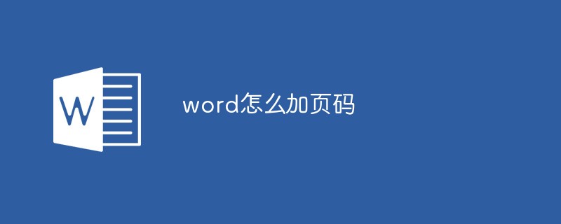 word怎么加页码