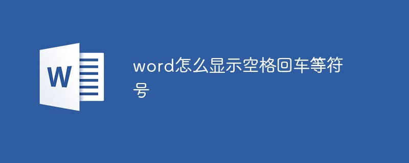 word怎么显示空格回车等符号