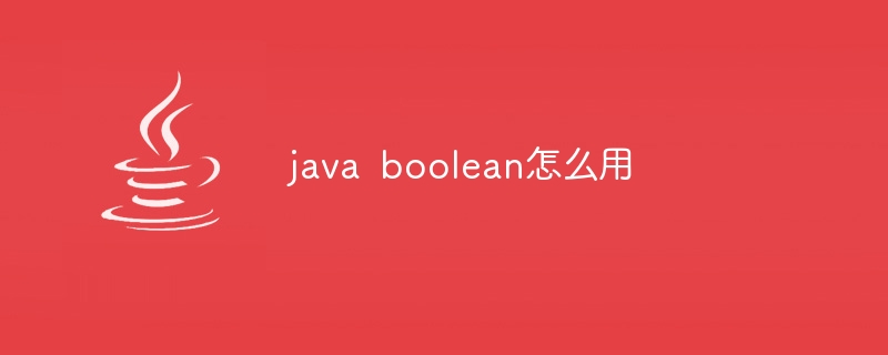 java boolean怎么用