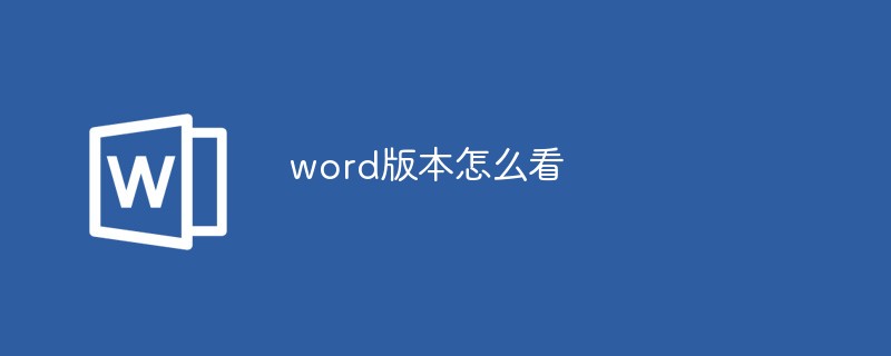 word版本怎么看