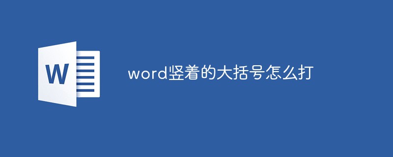 word竖着的大括号怎么打