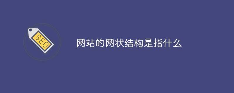 网站的网状结构是指什么