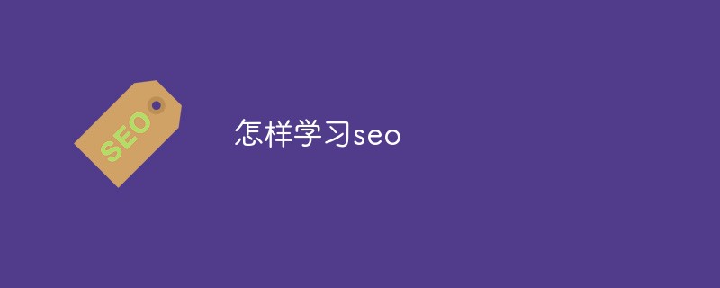 怎样学习seo