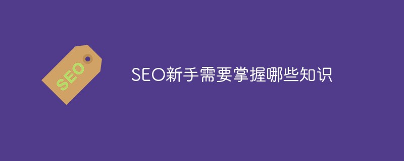 SEO新手需要掌握哪些知识