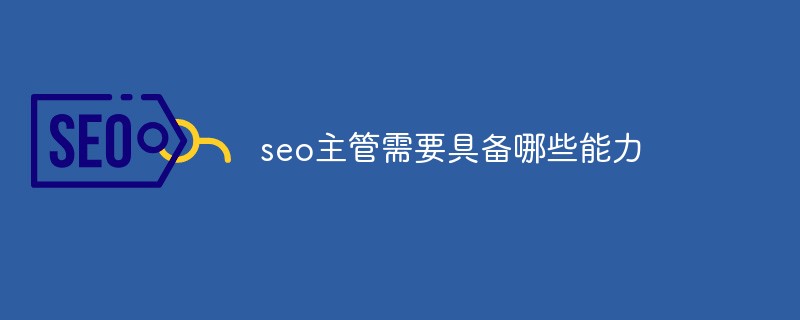 seo主管需要具备哪些能力