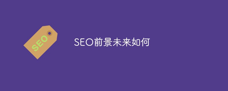 seo未来前景如何