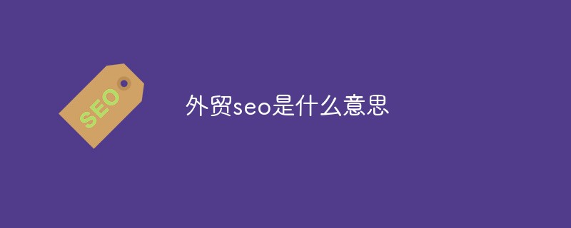 外贸seo是什么意思