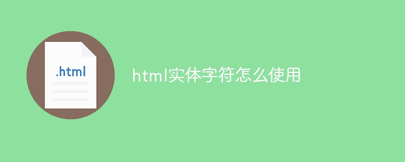 html实体字符怎么使用