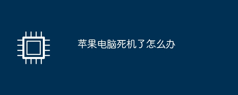 苹果电脑死机了怎么办