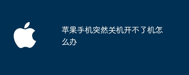 苹果手机突然关机开不了机怎么办