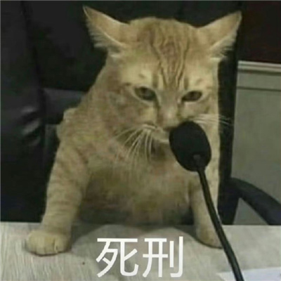 清汤大法官在线断案猫咪表情 你好小猫派出所