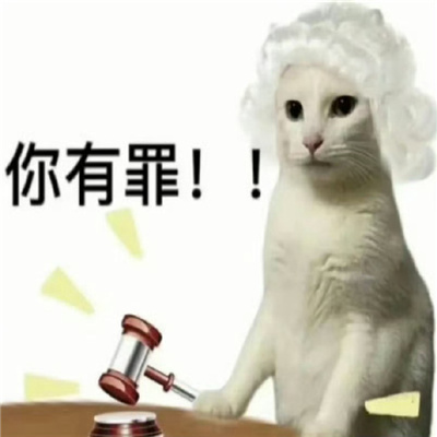 清汤大法官在线断案猫咪表情 你好小猫派出所