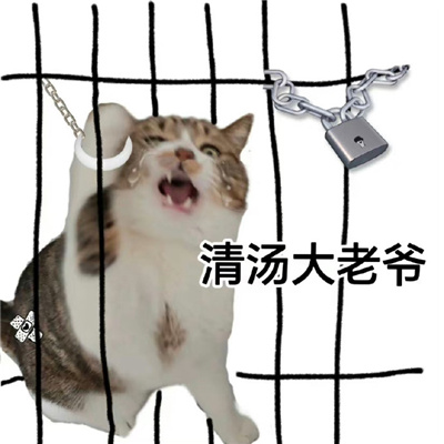 清汤大法官在线断案猫咪表情 你好小猫派出所