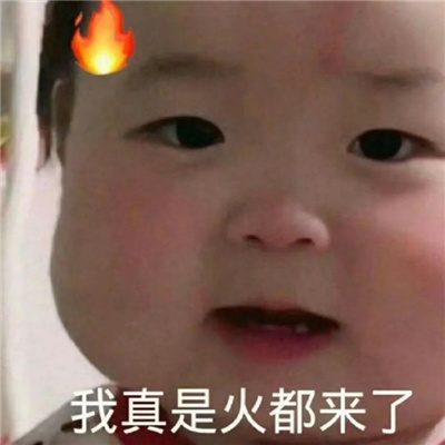 蠢蠢的表情包每张都爆笑 又蠢又憨的表情很有特色