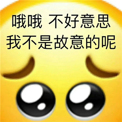 款款搞笑到炸裂的表情 看一眼就会笑的表情合集