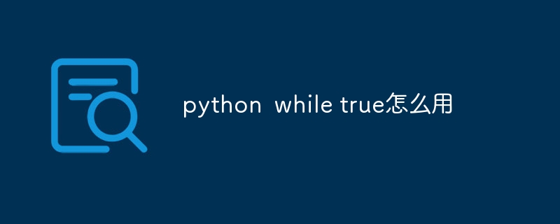 python while true怎么用