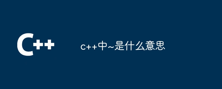 c++中~是什么意思